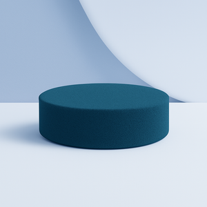Polishing Foam Pad
