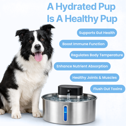 FreshFlow™ Filtered Water Fountain