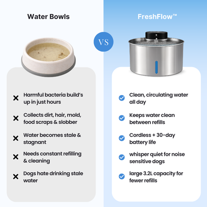 FreshFlow™ Filtered Water Fountain