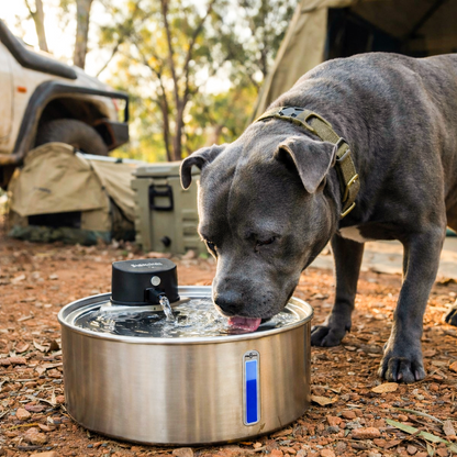 FreshFlow™ Filtered Water Fountain
