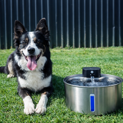 FreshFlow™ Filtered Water Fountain