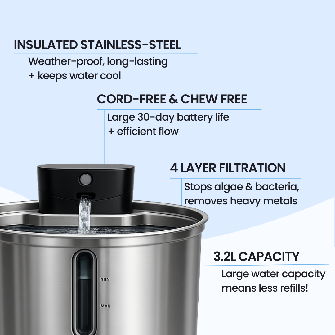 FreshFlow™ Water Fountain