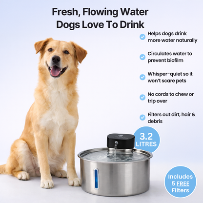 FreshFlow™ Filtered Water Fountain