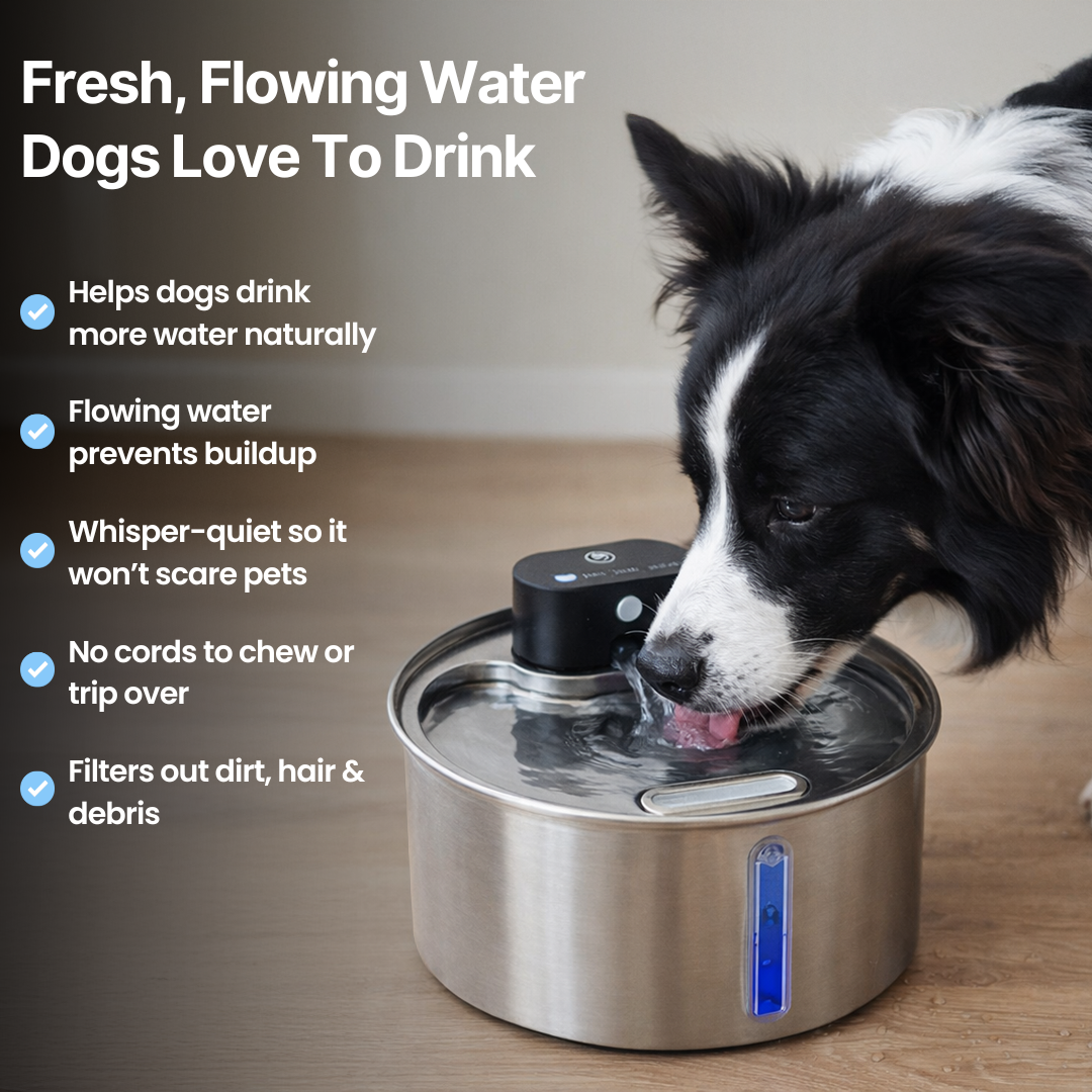 FreshFlow™ Water Fountain