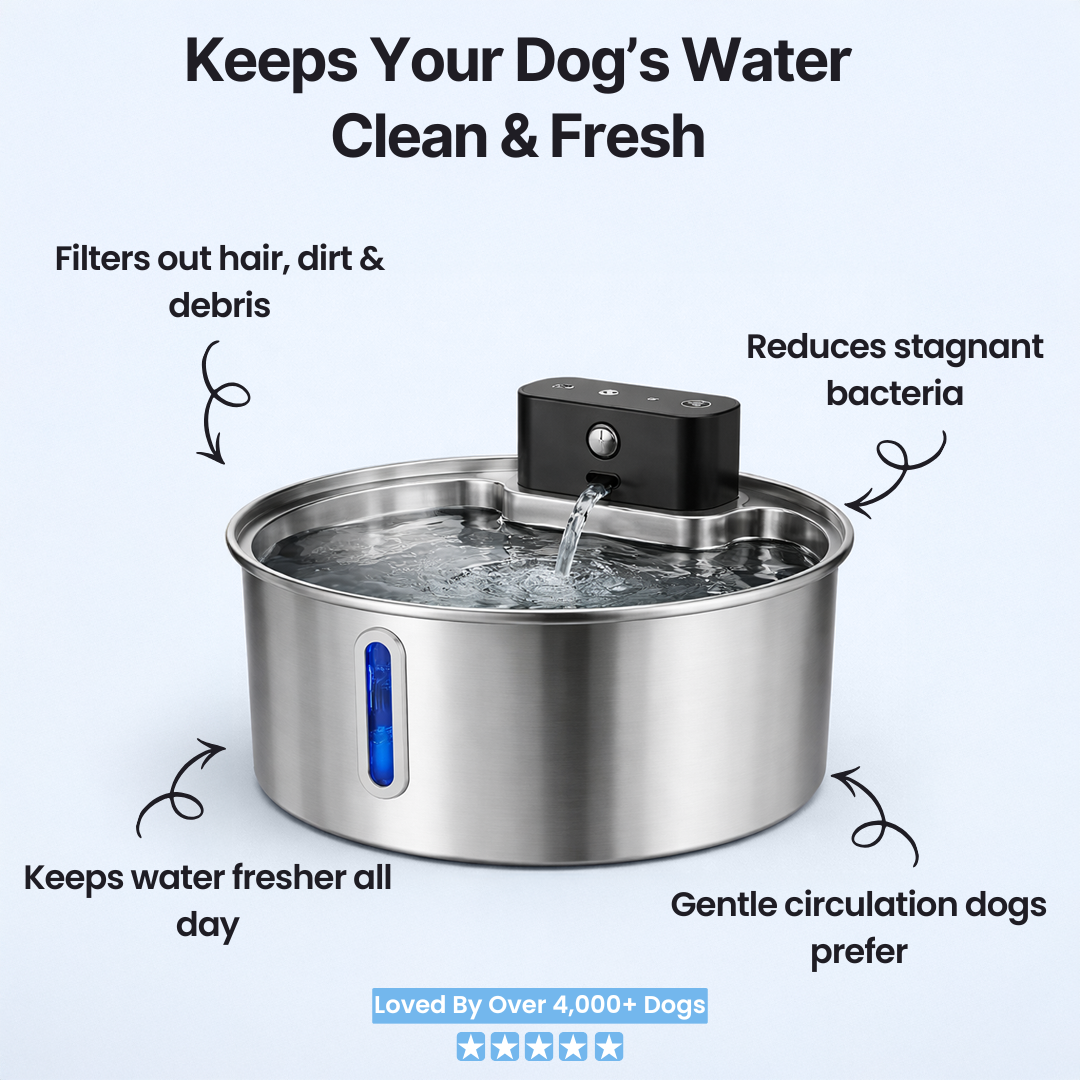 FreshFlow™ Water Fountain